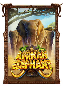 ส ต็ อ ต แตก ง่าย เล่นง่าย จ่ายเร็ว ต้องลอง!